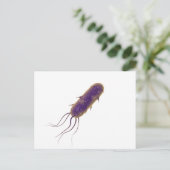 Conceptual Image of Flagellate Bacterium 2 Postkarte (Stehend Vorderseite)