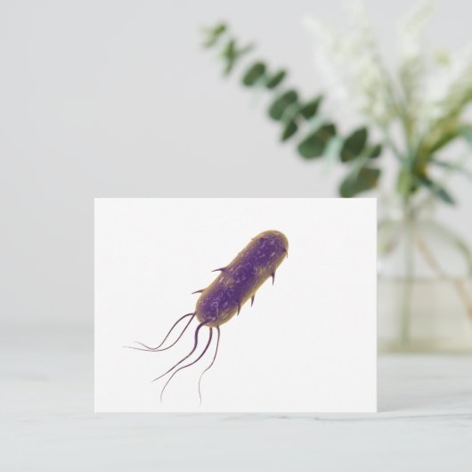 Conceptual Image of Flagellate Bacterium 2 Postkarte (Stehend Vorderseite)