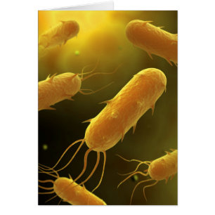 Conceptual Image of Flagellate Bacterium 3