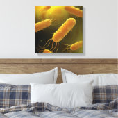 Conceptual Image of Flagellate Bacterium 3 Leinwanddruck (Insitu (Schlafzimmer))