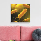 Conceptual Image of Flagellate Bacterium 3 Leinwanddruck (Insitu (Wohnzimmer))