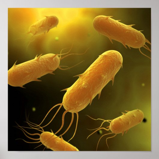 Conceptual Image of Flagellate Bacterium 3 Poster (Vorne)
