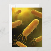 Conceptual Image of Flagellate Bacterium 3 Postkarte (Vorne/Hinten)