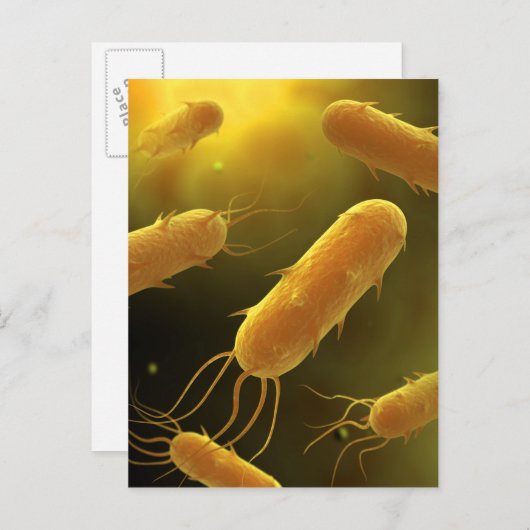 Conceptual Image of Flagellate Bacterium 3 Postkarte (Vorne/Hinten)
