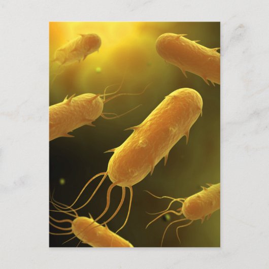 Conceptual Image of Flagellate Bacterium 3 Postkarte (Vorderseite)