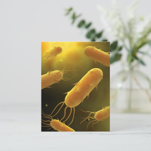 Conceptual Image of Flagellate Bacterium 3 Postkarte (Stehend Vorderseite)