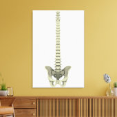 Conceptual Image of Human Backbone 1 Leinwanddruck (Insitu (Wohnzimmer))
