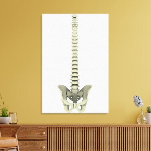 Conceptual Image of Human Backbone 1 Leinwanddruck (Insitu (Wohnzimmer))