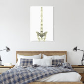 Conceptual Image of Human Backbone 1 Leinwanddruck (Insitu (Schlafzimmer))