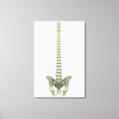 Conceptual Image of Human Backbone 1 Leinwanddruck (Vorderseite)