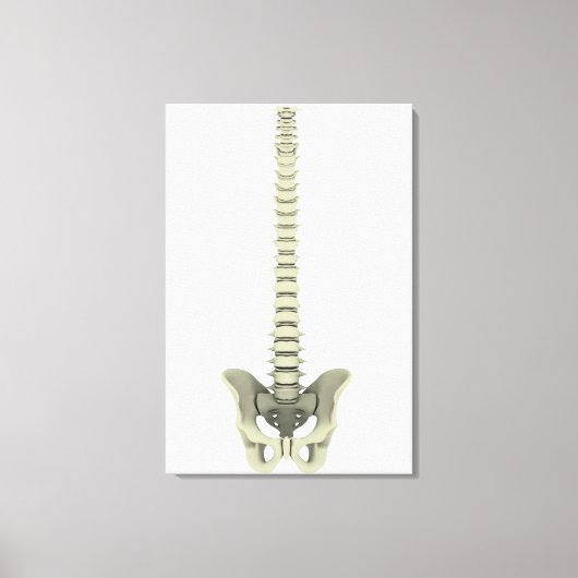 Conceptual Image of Human Backbone 1 Leinwanddruck (Vorderseite)