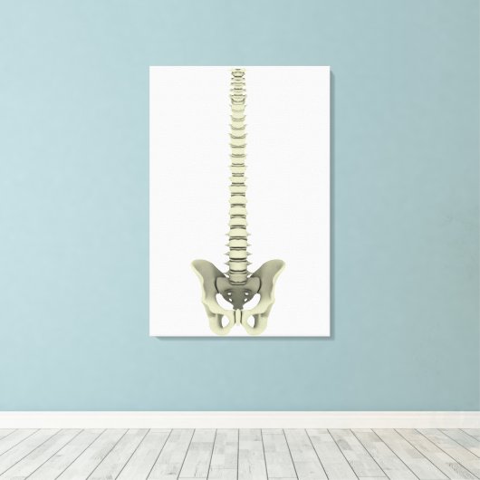Conceptual Image of Human Backbone 1 Leinwanddruck (Insitu (Holzboden))