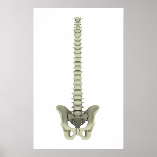 Conceptual Image of Human Backbone 1 Poster (Vorne)