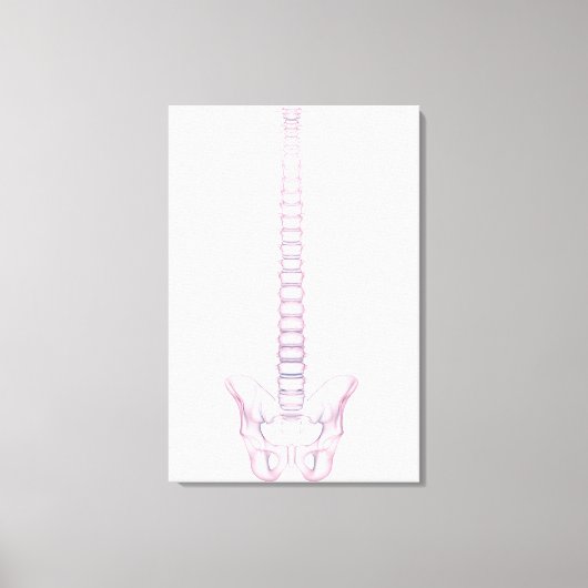 Conceptual Image of Human Backbone 2 Leinwanddruck (Vorderseite)