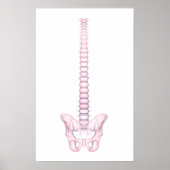 Conceptual Image of Human Backbone 2 Poster (Vorne)