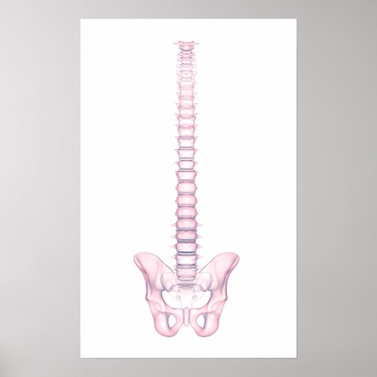 Conceptual Image of Human Backbone 2 Poster (Vorne)