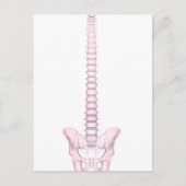 Conceptual Image of Human Backbone 2 Postkarte (Vorderseite)