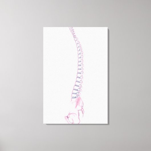Conceptual Image of Human Backbone 3 Leinwanddruck (Vorderseite)