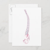 Conceptual Image of Human Backbone 3 Postkarte (Vorne/Hinten)