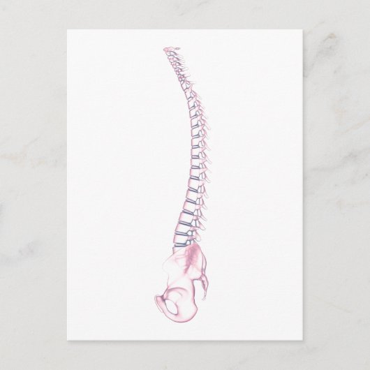 Conceptual Image of Human Backbone 3 Postkarte (Vorderseite)