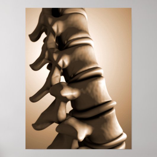Conceptual Image of Human Backbone 4 Poster (Vorne)