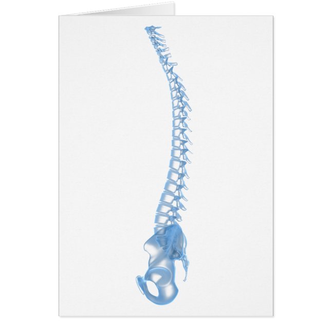 Conceptual Image of Human Backbone 5 (Vorne)