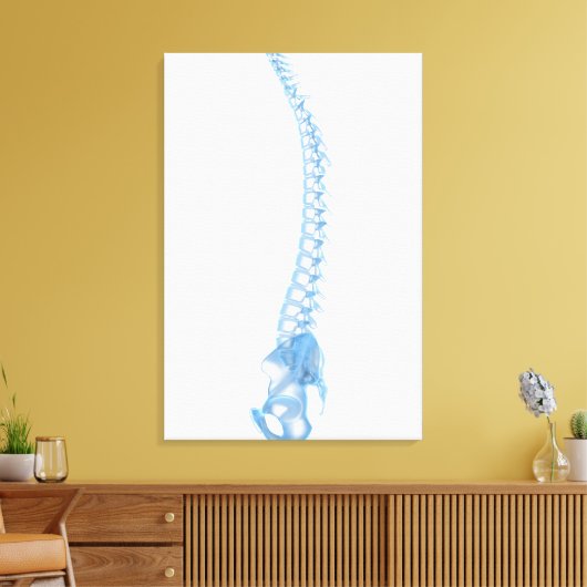 Conceptual Image of Human Backbone 5 Leinwanddruck (Insitu (Wohnzimmer))