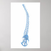 Conceptual Image of Human Backbone 5 Poster (Vorne)