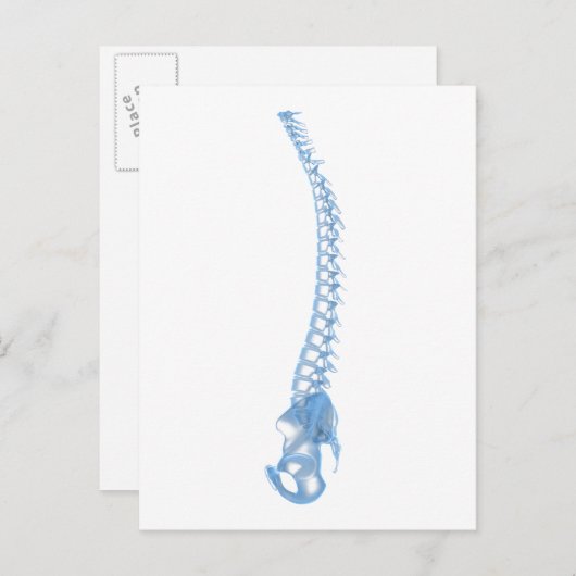 Conceptual Image of Human Backbone 5 Postkarte (Vorne/Hinten)
