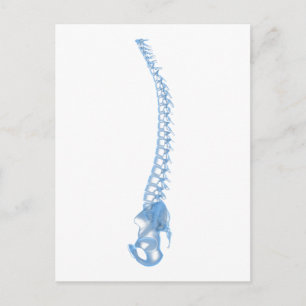 Conceptual Image of Human Backbone 5 Postkarte