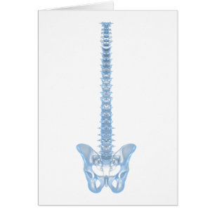 Conceptual Image of Human Backbone 6