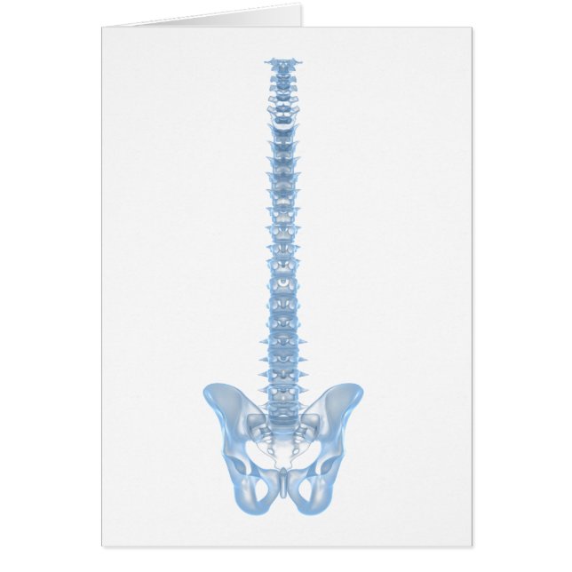 Conceptual Image of Human Backbone 6 (Vorne)