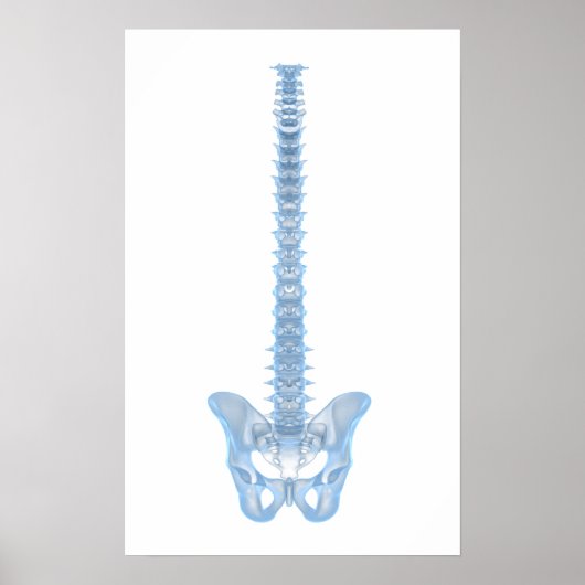 Conceptual Image Of Human Backbone 6 Poster (Vorne)