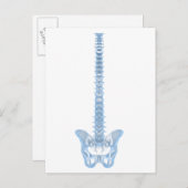 Conceptual Image of Human Backbone 6 Postkarte (Vorne/Hinten)
