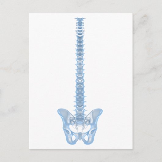 Conceptual Image of Human Backbone 6 Postkarte (Vorderseite)