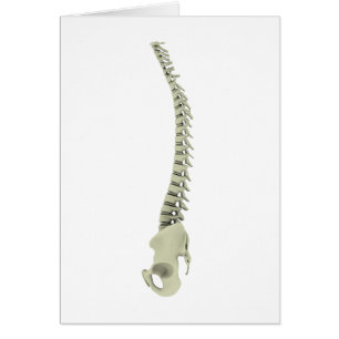 Conceptual Image of Human Backbone 7