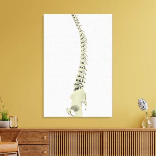 Conceptual Image of Human Backbone 7 Leinwanddruck (Insitu (Wohnzimmer))