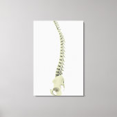 Conceptual Image of Human Backbone 7 Leinwanddruck (Vorderseite)
