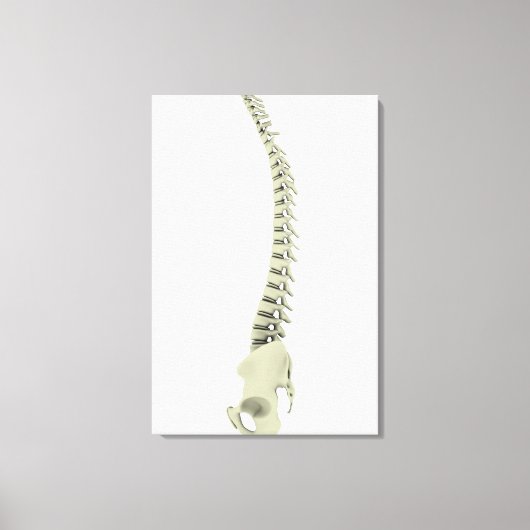 Conceptual Image of Human Backbone 7 Leinwanddruck (Vorderseite)