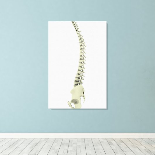 Conceptual Image of Human Backbone 7 Leinwanddruck (Insitu (Holzboden))