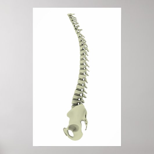 Conceptual Image of Human Backbone 7 Poster (Vorne)