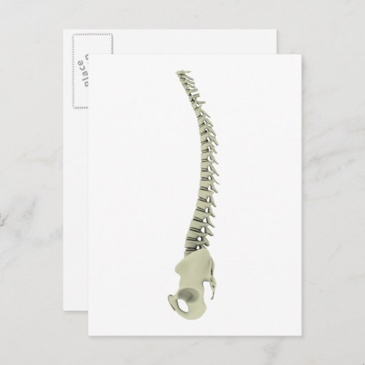 Conceptual Image of Human Backbone 7 Postkarte (Vorne/Hinten)