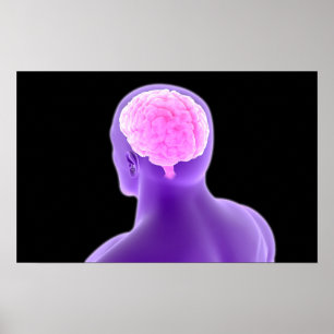 Conceptual Image Of Human Brain 9 Poster