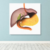 Conceptual Image of Human Digestive System 1 Leinwanddruck (Insitu (Holzboden))