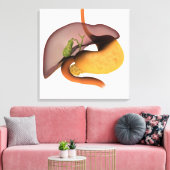 Conceptual Image of Human Digestive System 1 Leinwanddruck (Insitu (Wohnzimmer))