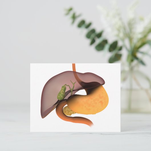 Conceptual Image of Human Digestive System 1 Postkarte (Stehend Vorderseite)