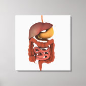 Conceptual Image of Human Digestive System 2 Leinwanddruck (Vorderseite)
