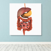 Conceptual Image of Human Digestive System 2 Leinwanddruck (Insitu (Holzboden))