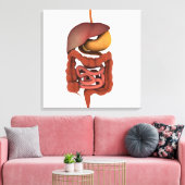 Conceptual Image of Human Digestive System 2 Leinwanddruck (Insitu (Wohnzimmer))