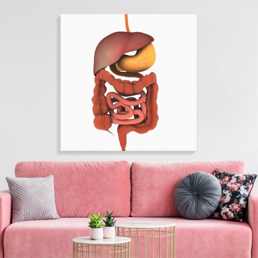 Conceptual Image of Human Digestive System 2 Leinwanddruck (Insitu (Wohnzimmer))